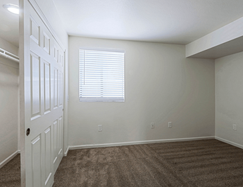 Window coverings*